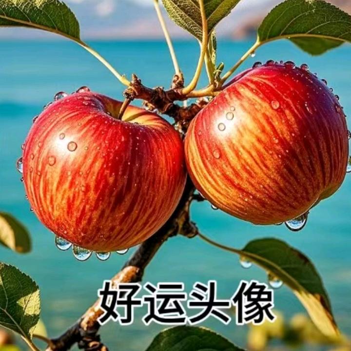 门前树