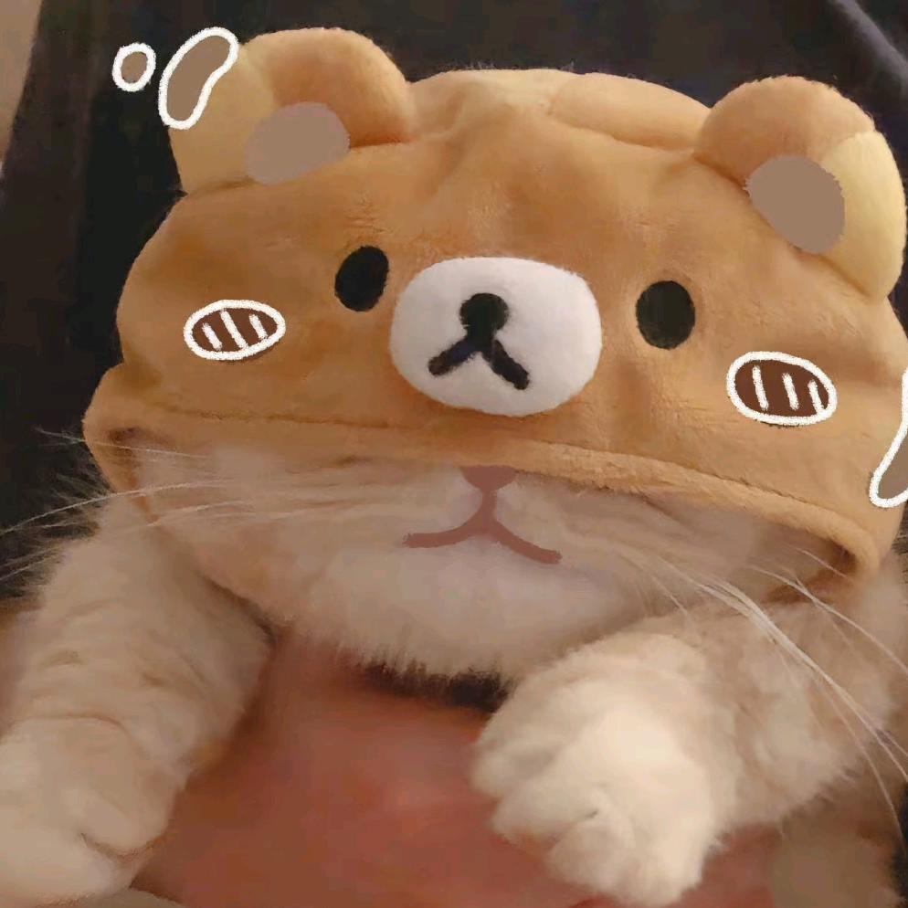 ℳ十🧸二ℳ