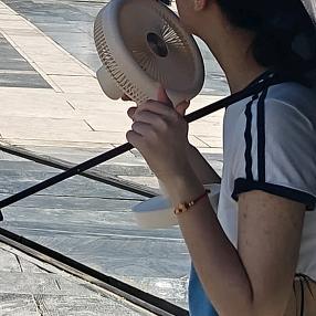敏司机