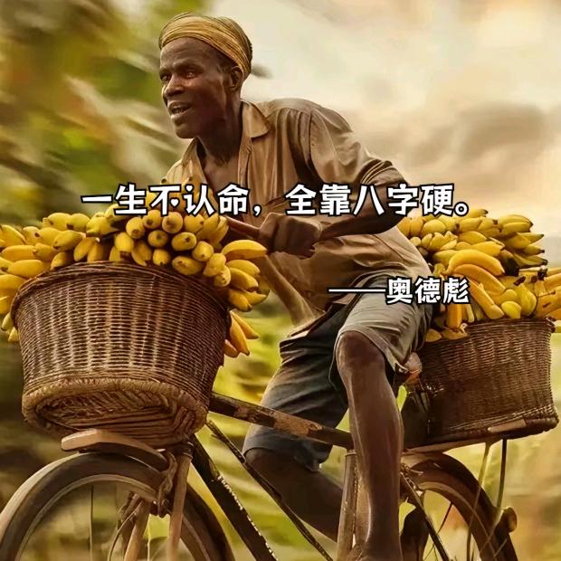 奥德彪的远洋老表