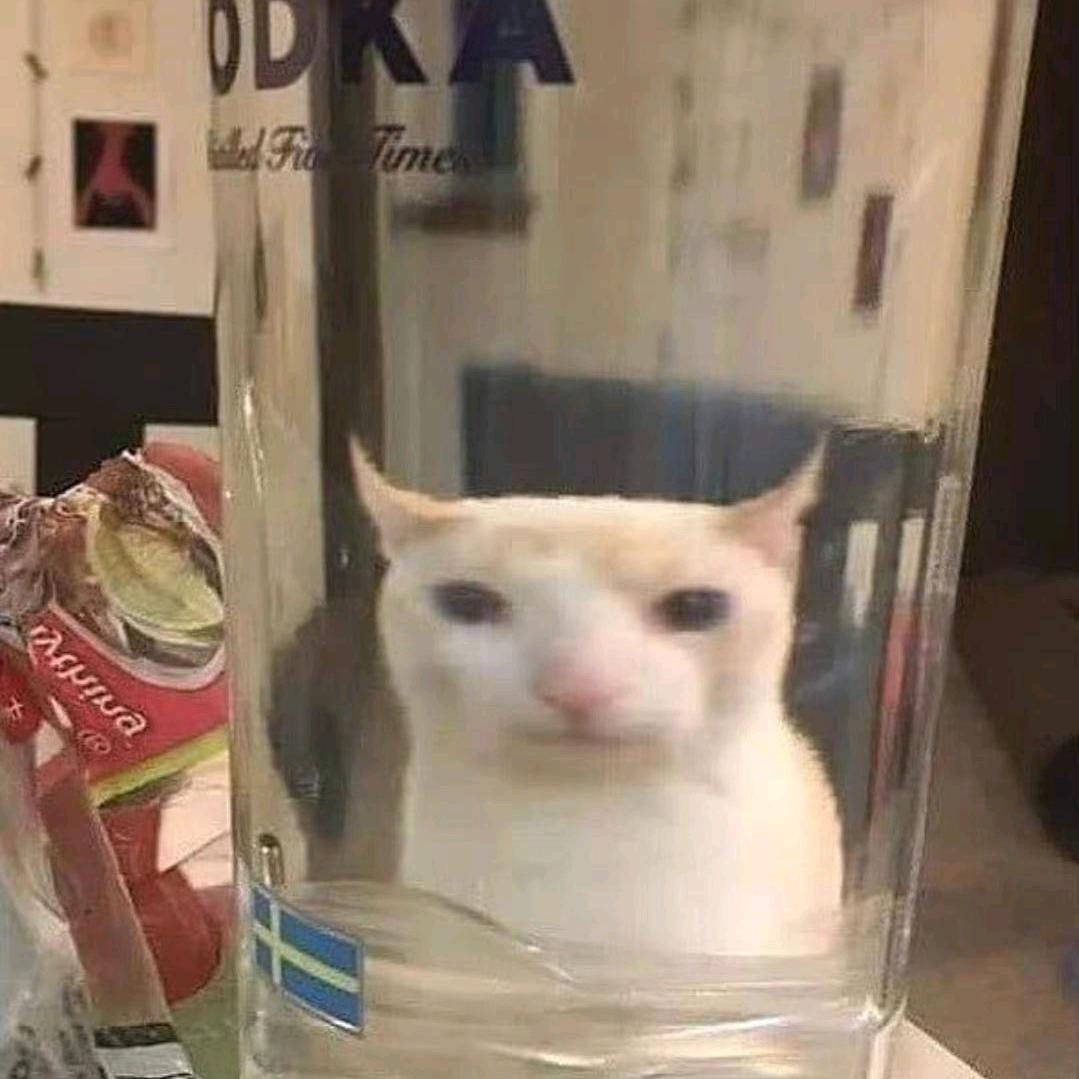 清醒才入眠