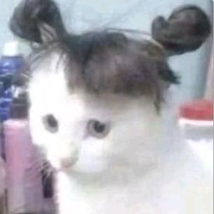 ฅ