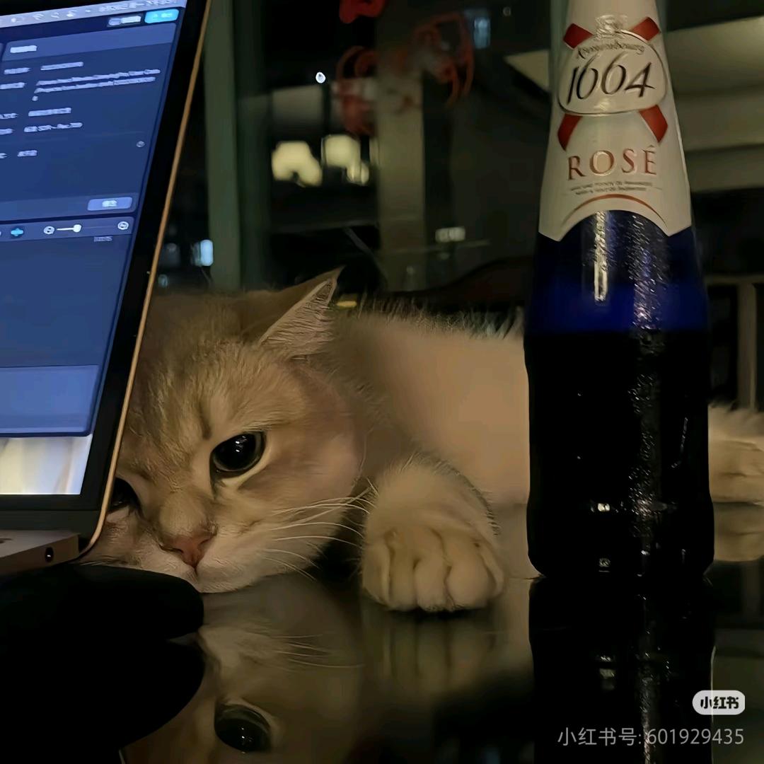 🌈往事藏于晚风