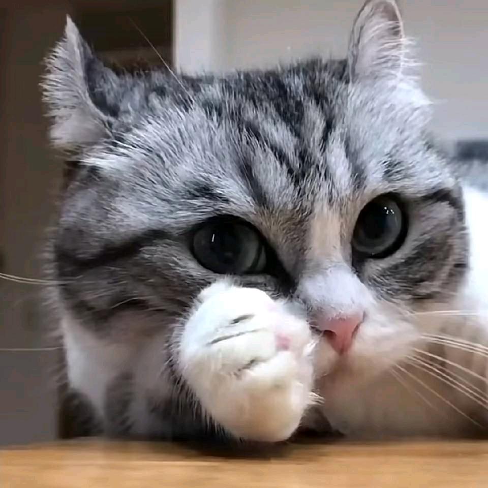 苦路西