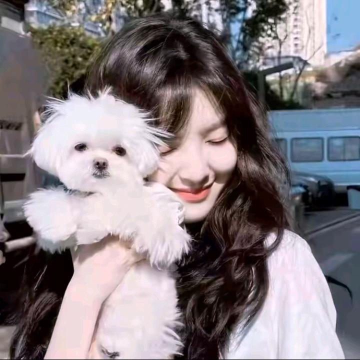 章若楠的楠朋友