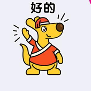 袋鼠先生