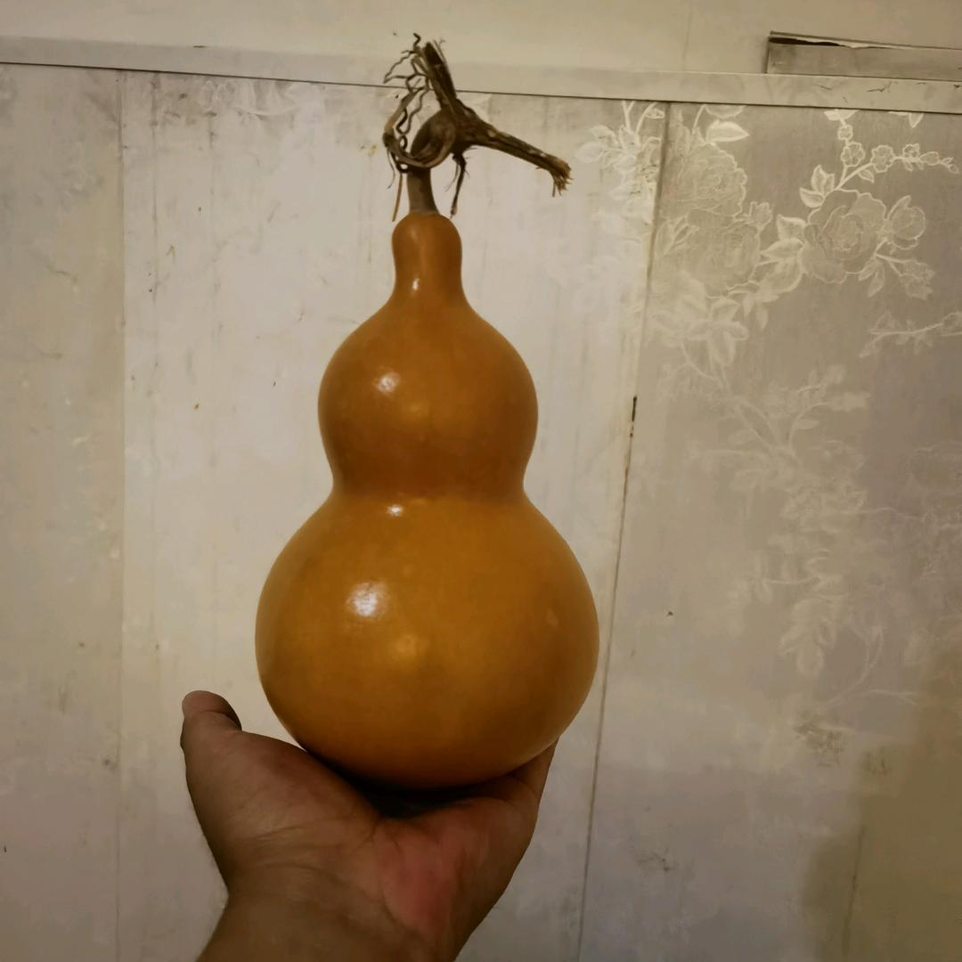 曹县烤全羊