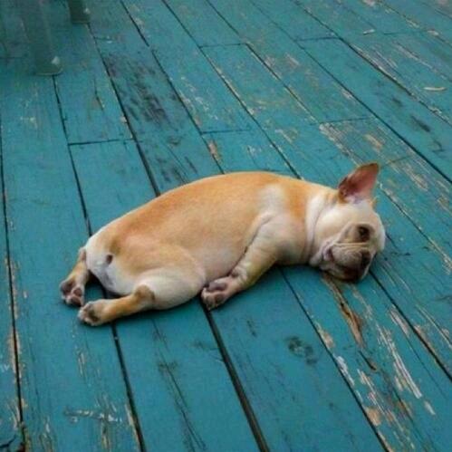 💗᭄余生ᝰᩚ随心ꦿ໌