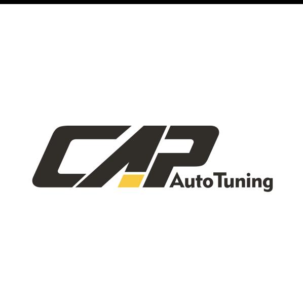 CAP (马力机特调程序)