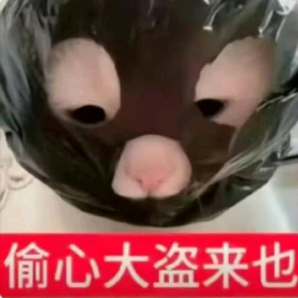 小听头像