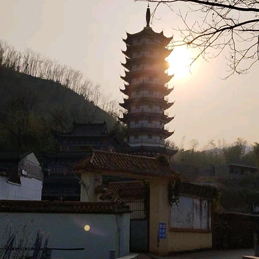 一胡清酒