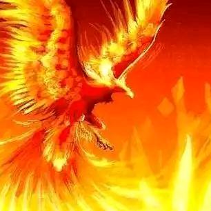 甲火火🔥