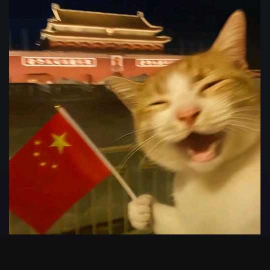在下随风