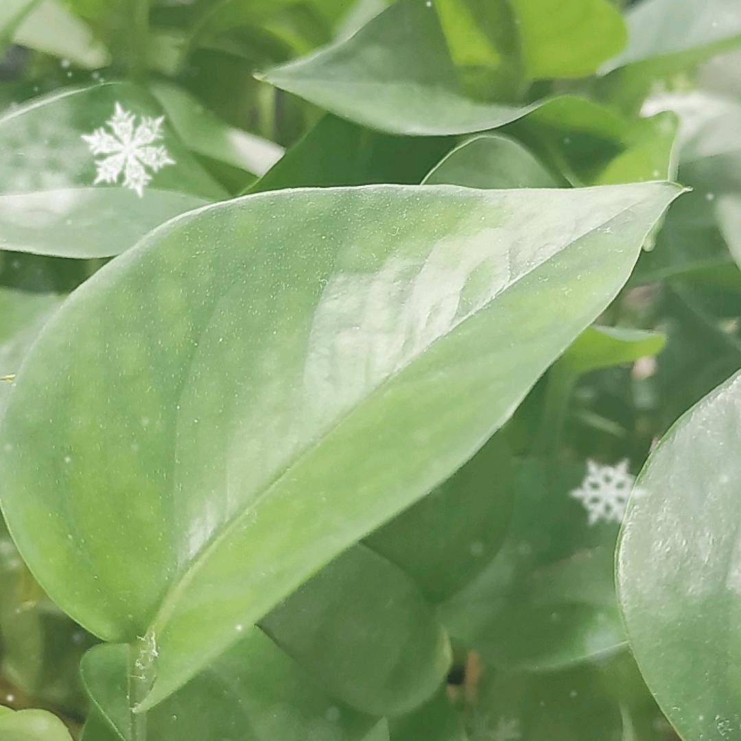 耀达云-江老师