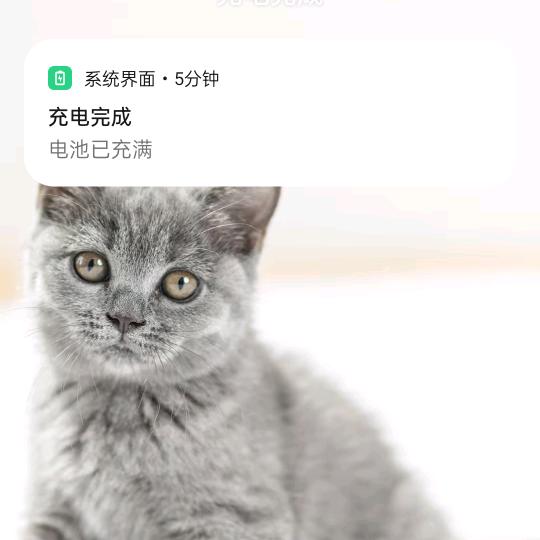 前是修的缘