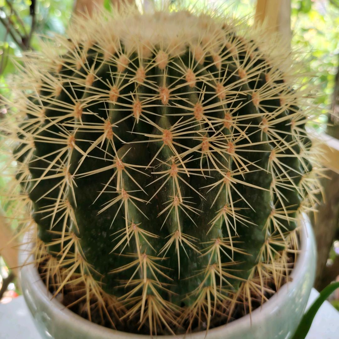 一颗撕破的心,谁来缝合,