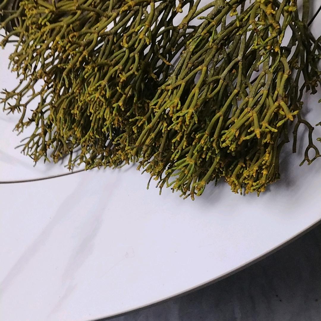 老郎中十年老店