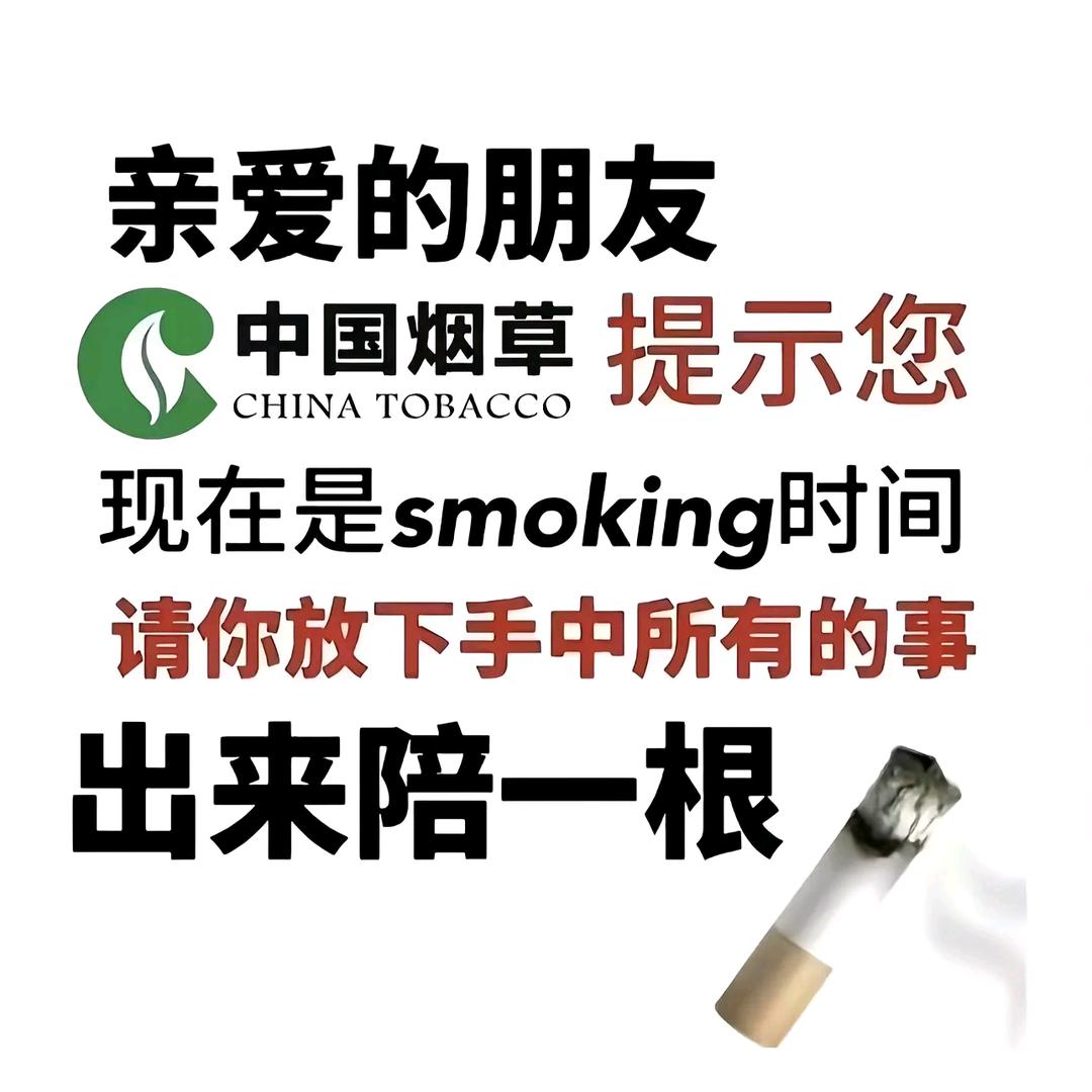 @小小怪下士