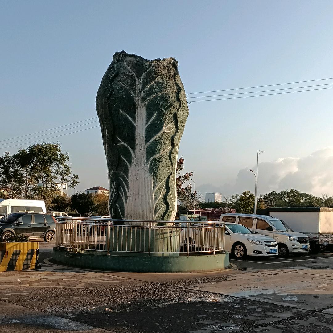 一生何所求，财富和自由