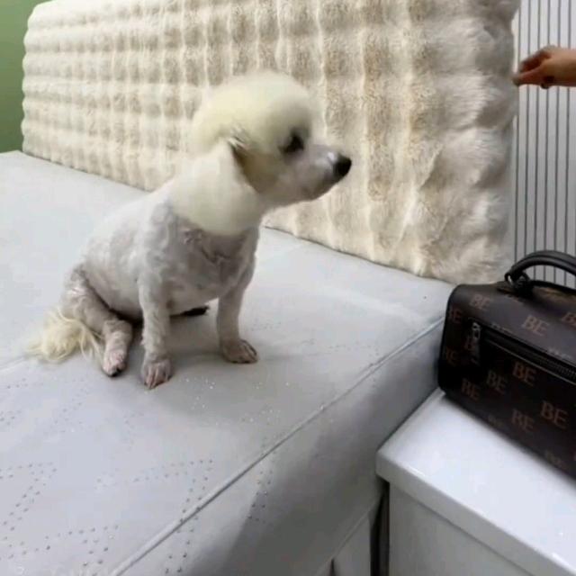 小苗苗百货