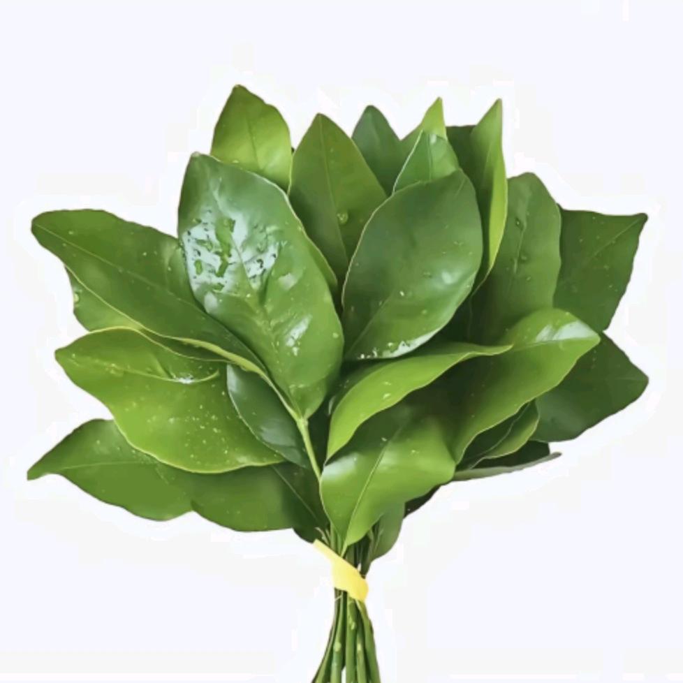 螺蛳粉大王.🍎