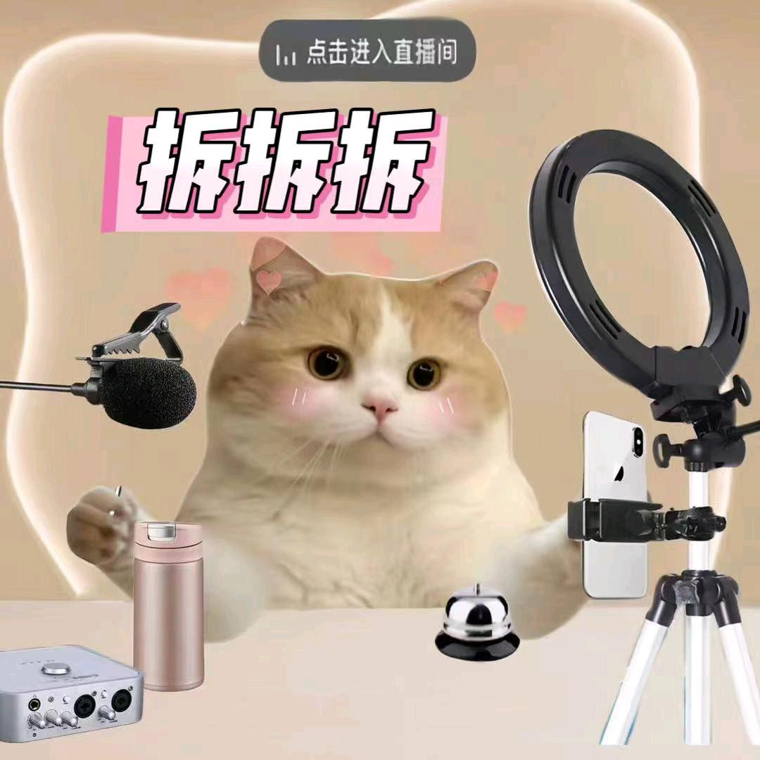 闪闪手链碰碰屋