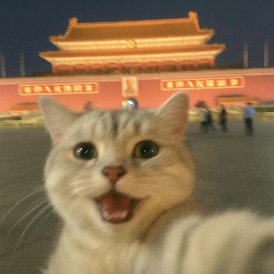 好牛的滑子