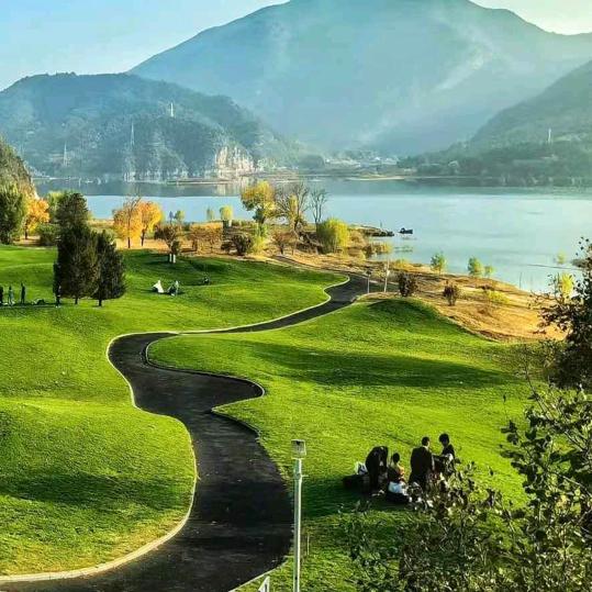 💤🍄静心🌴💤