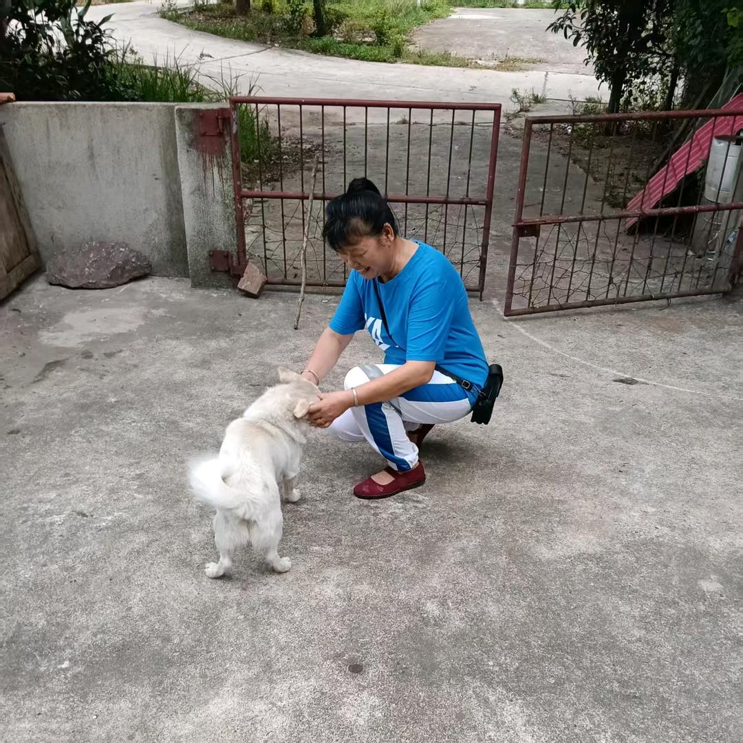 湖南的满妹几