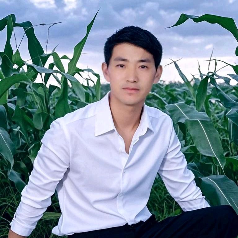 光武中兴(陈)