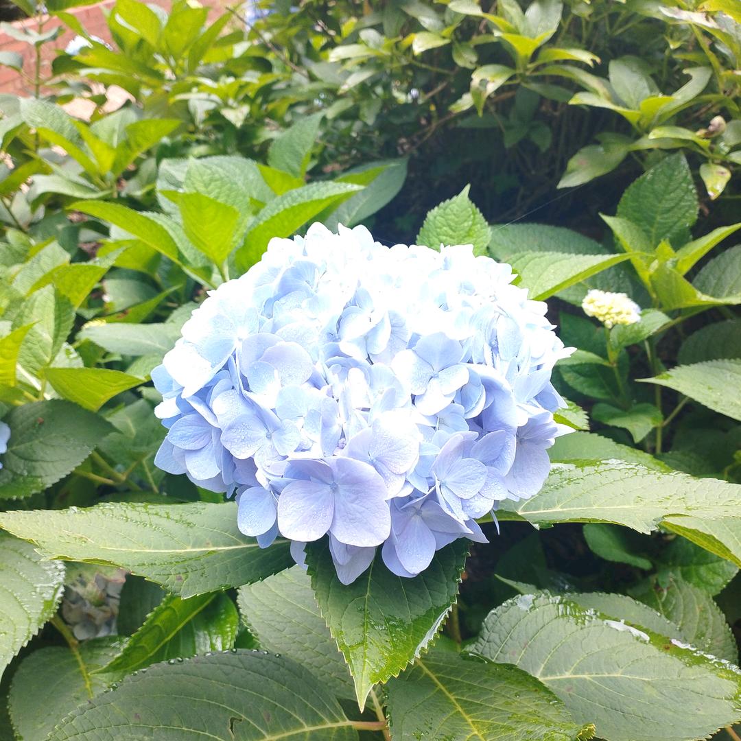 林兰爱健身