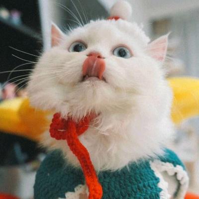 七维度-努尔比亚