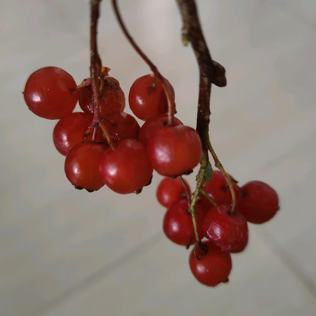 简单你好