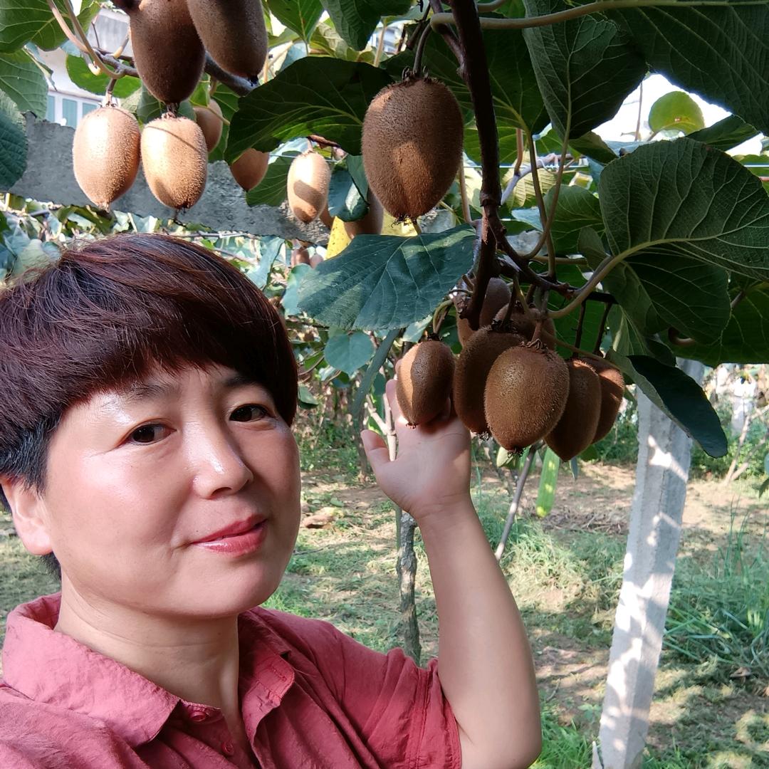 田丽果品