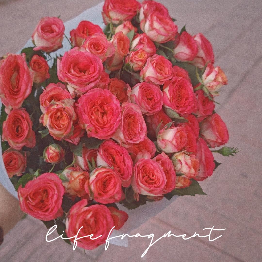 💕 Luo⌣oᥫᩣ 莎