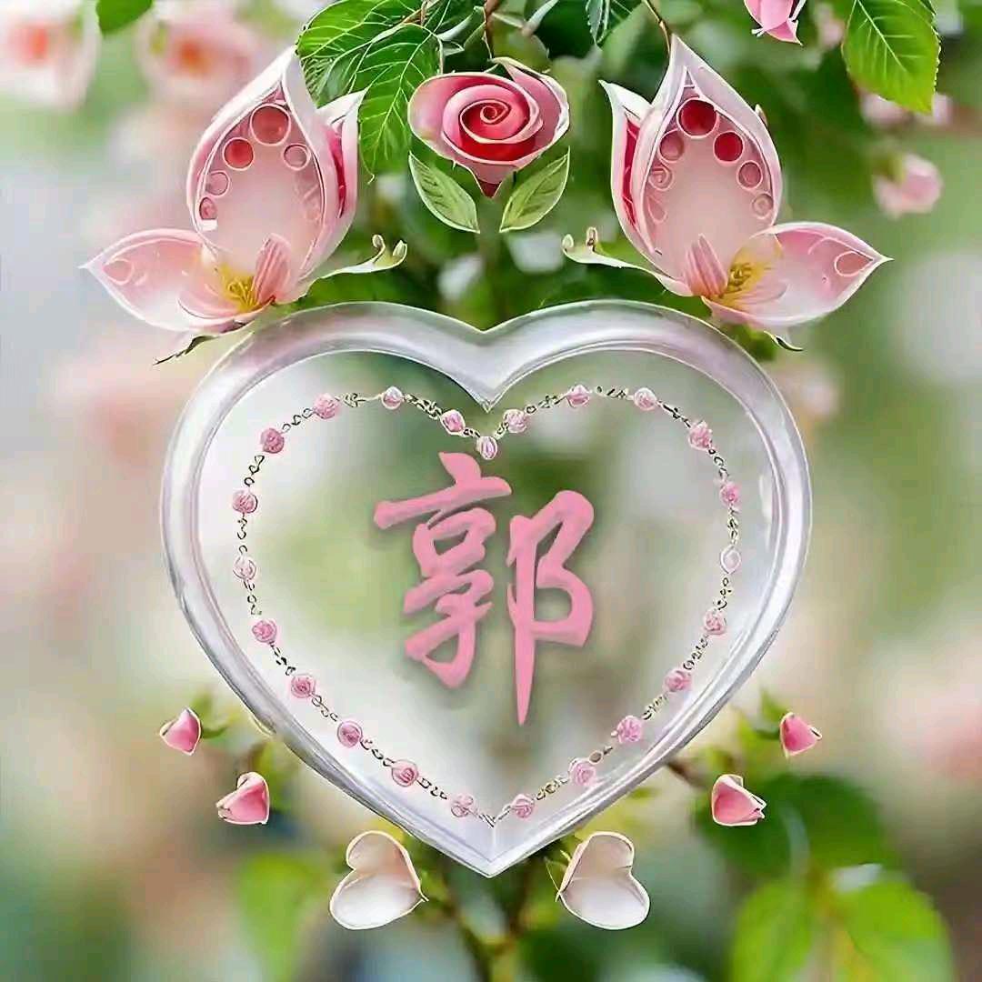 姐的拽你学不来