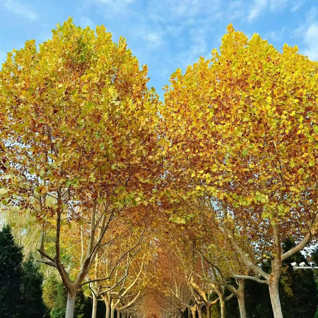 🐾幸福快乐🐾