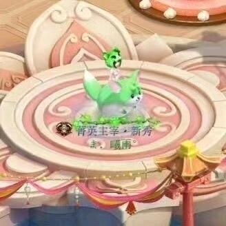 梦幻小舅子（旺才团队）
