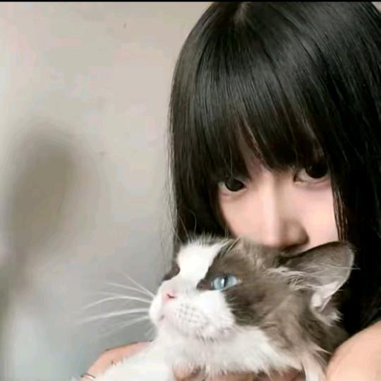 佳