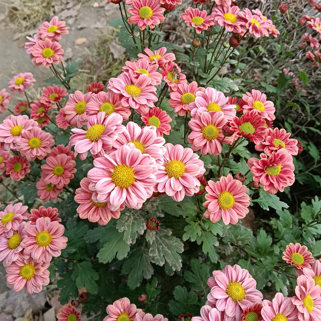 与你相伴