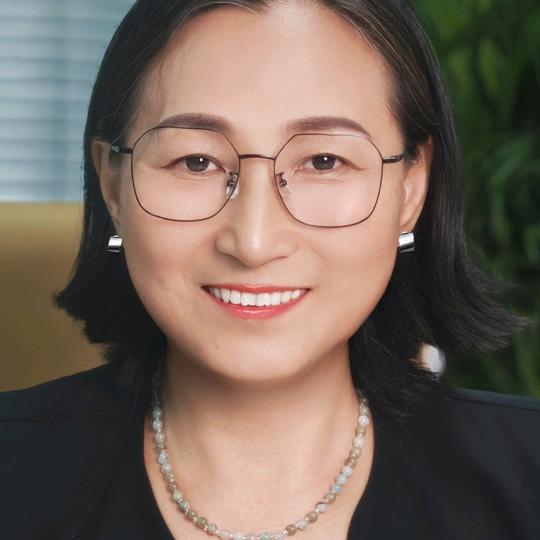 旺禅【销售领域战斗机F16】