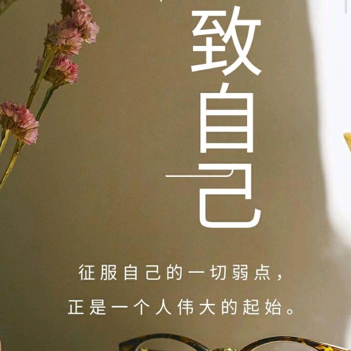 灿烂的人生