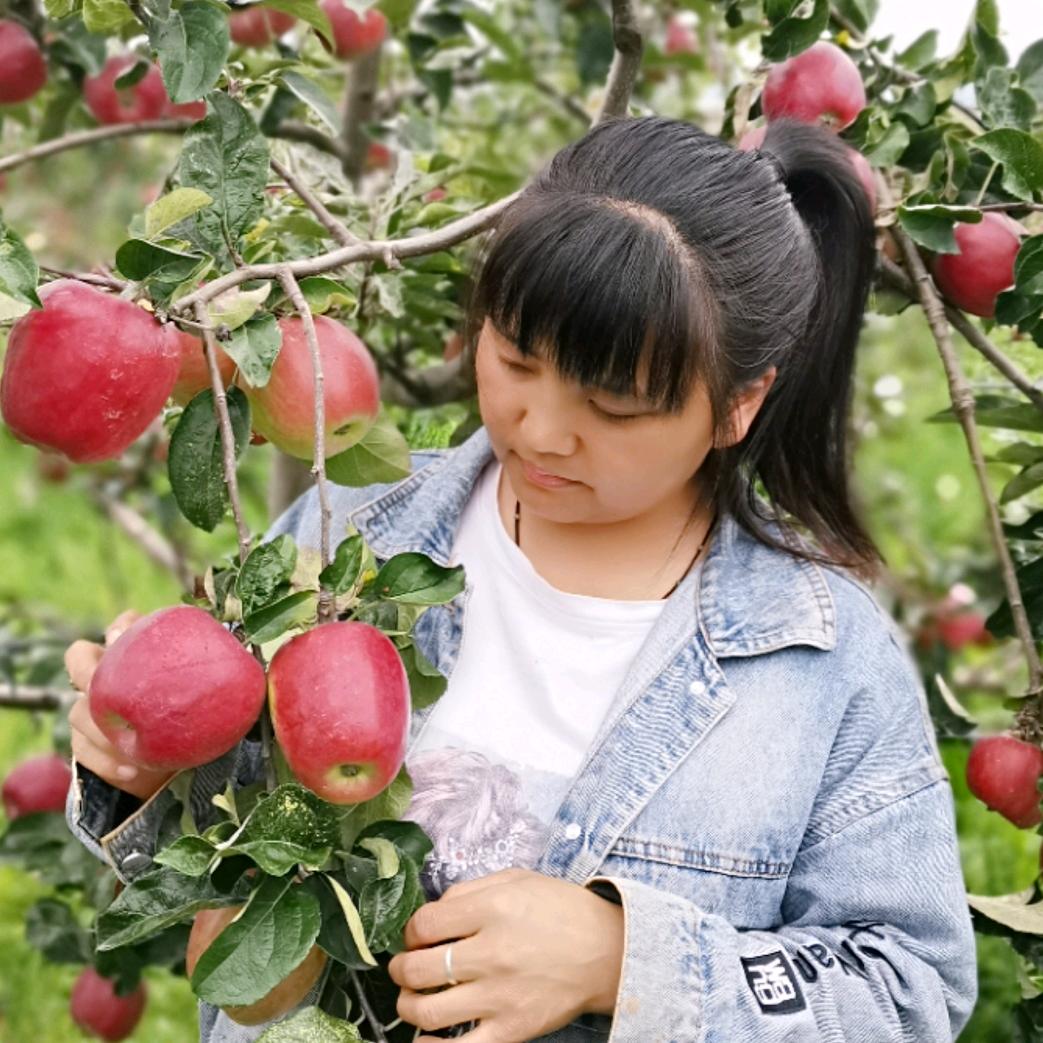 昭通燕子果苗基地
