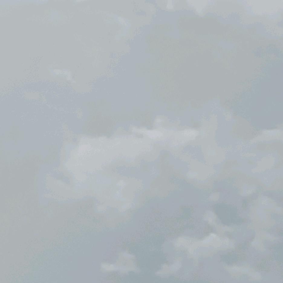 亦真亦假