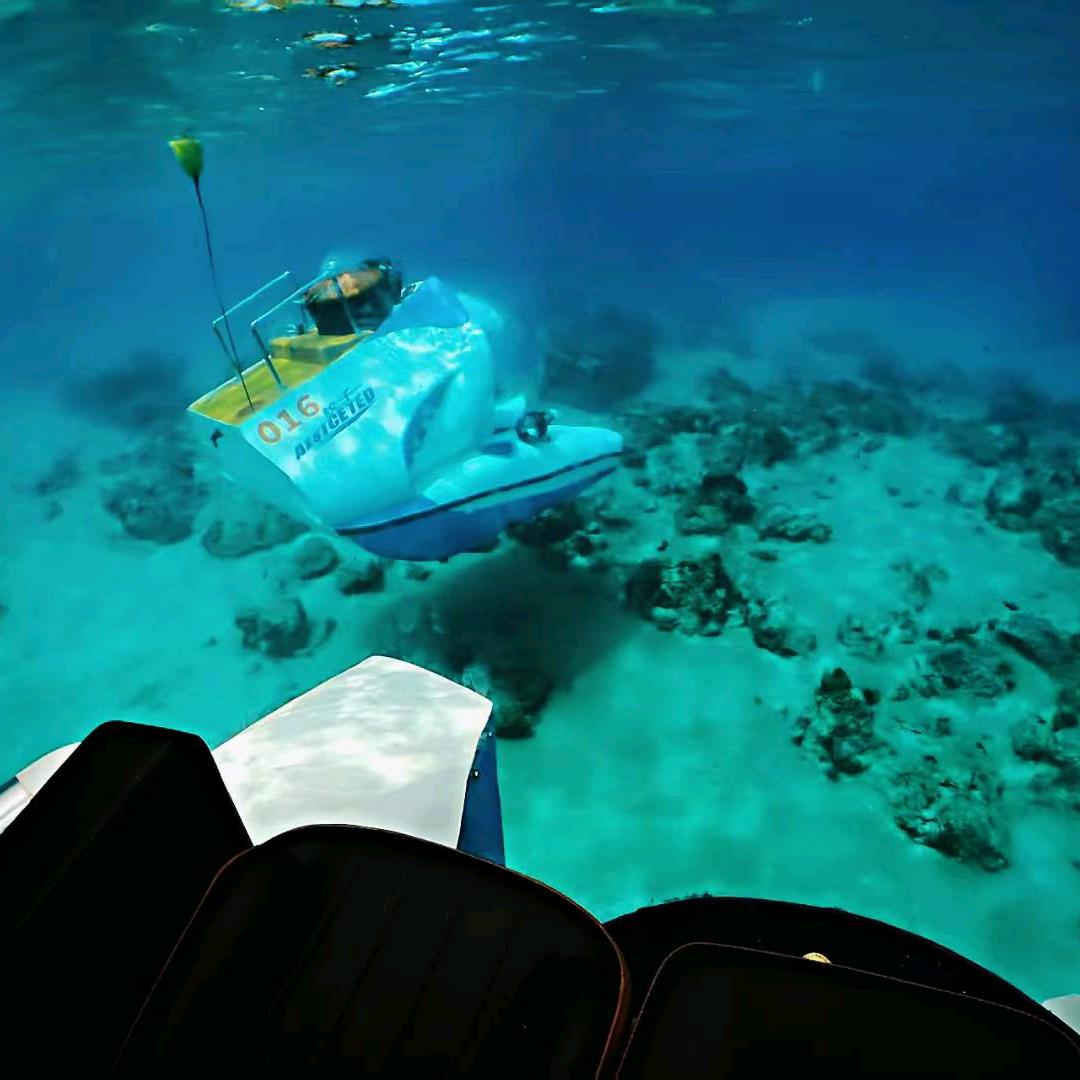 鲛子观光潜艇海底探秘