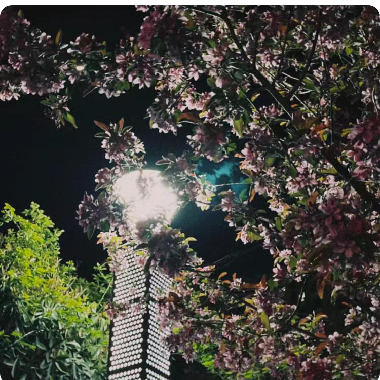 谁懂我心