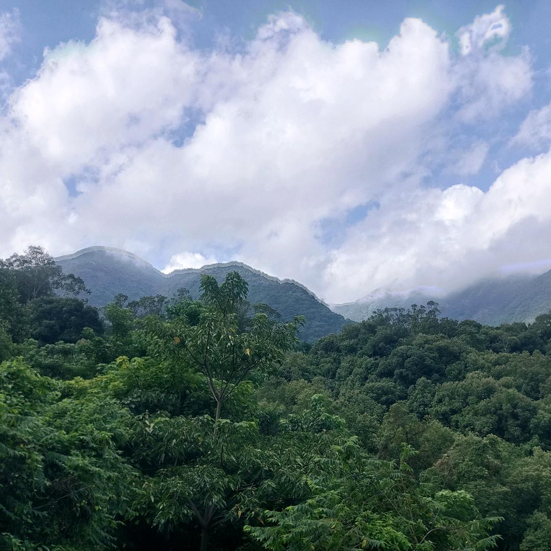 一句话就会失去一个人