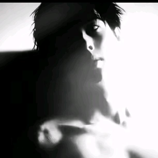 相逢何必曾相识