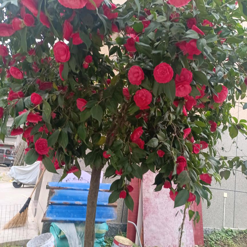 请你不要伤害我