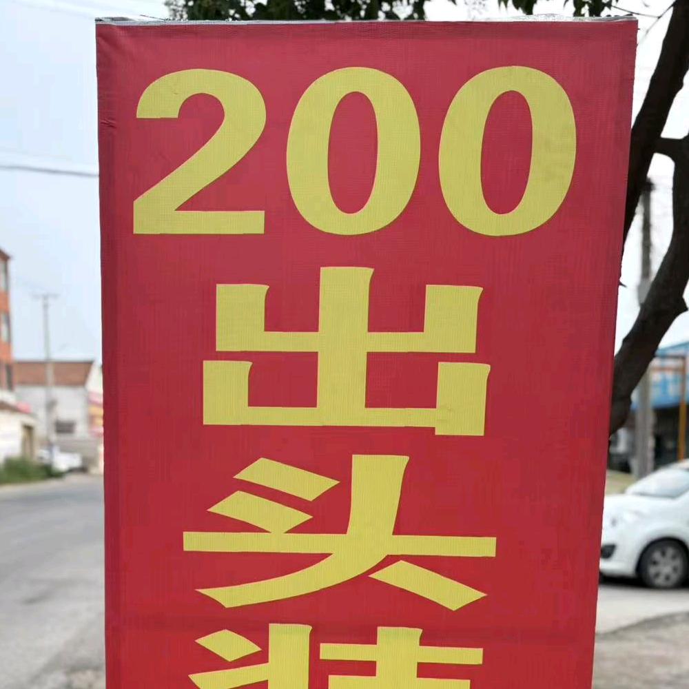 宁陵县批发脚垫